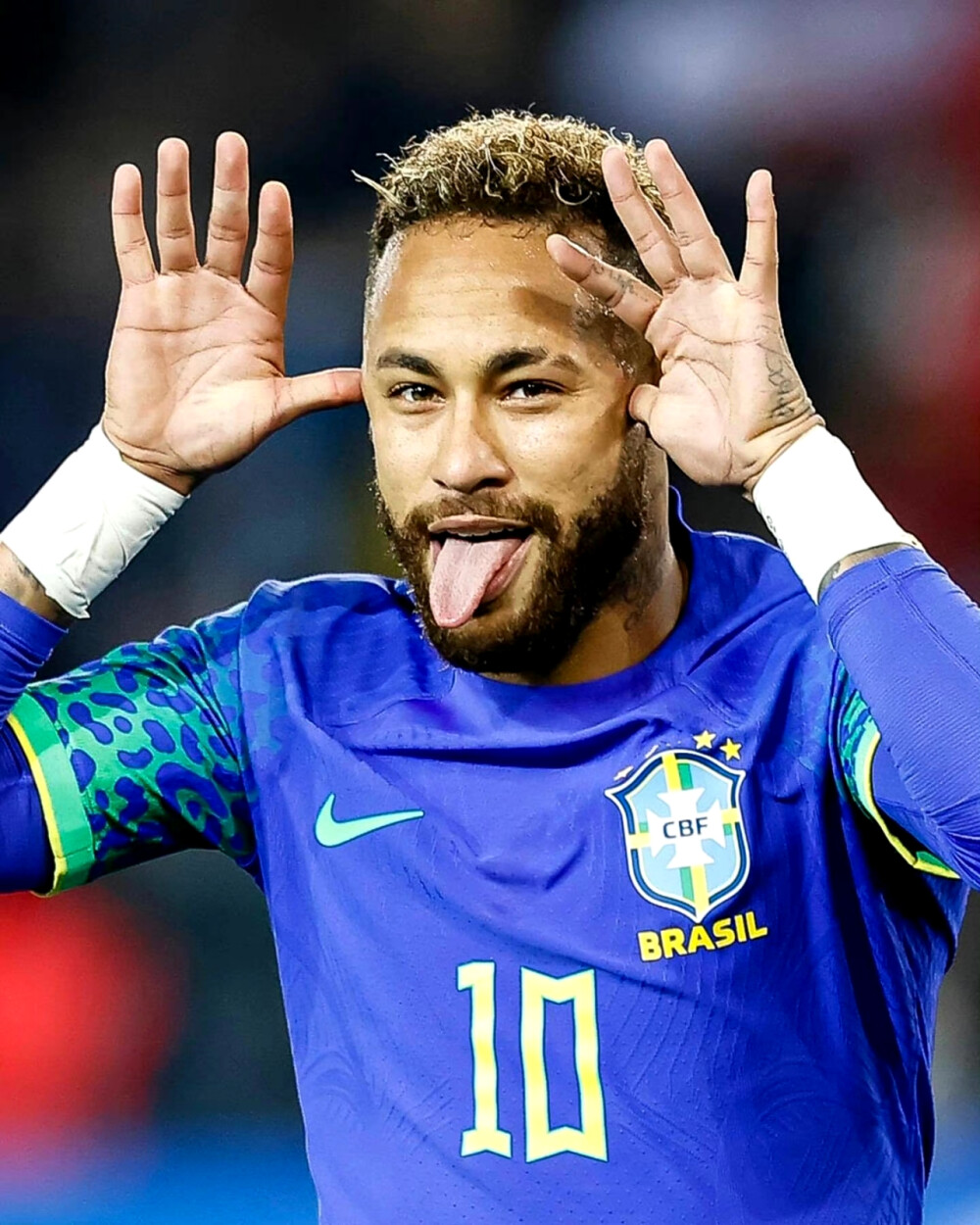 特鲁姆普的 特鲁姆普的